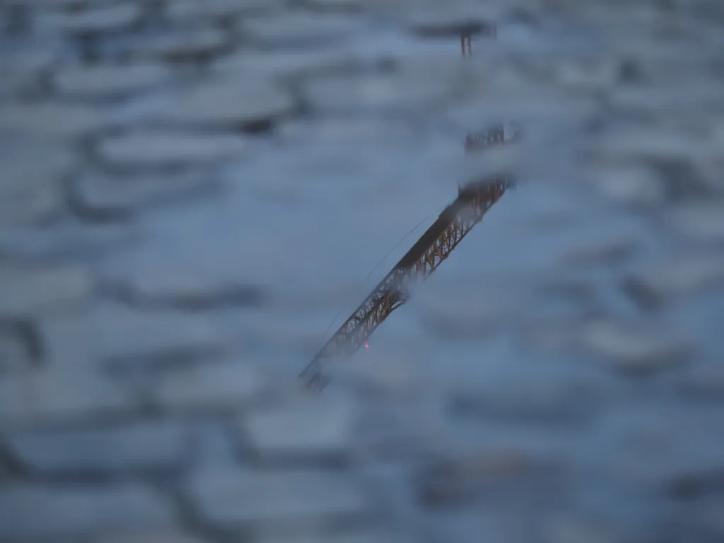 a crane reflected in a puddle