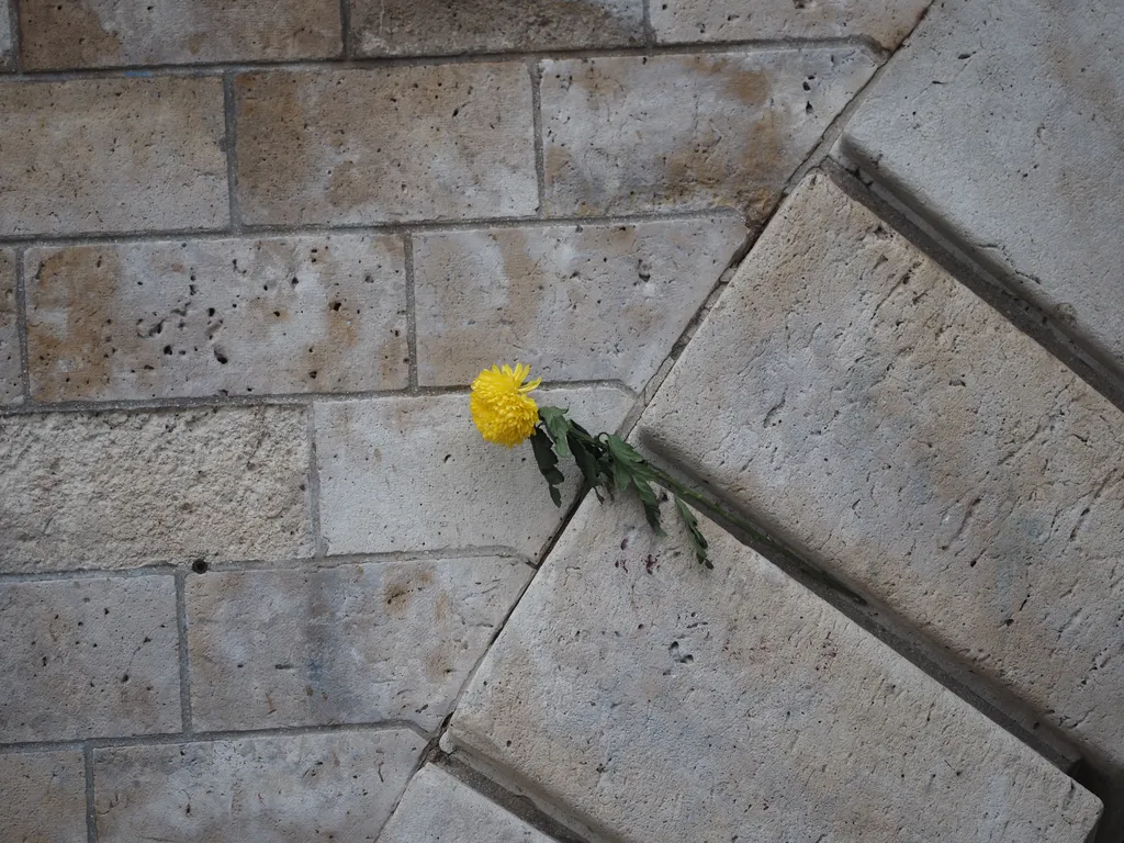 a flower placed on the arch of a bridge