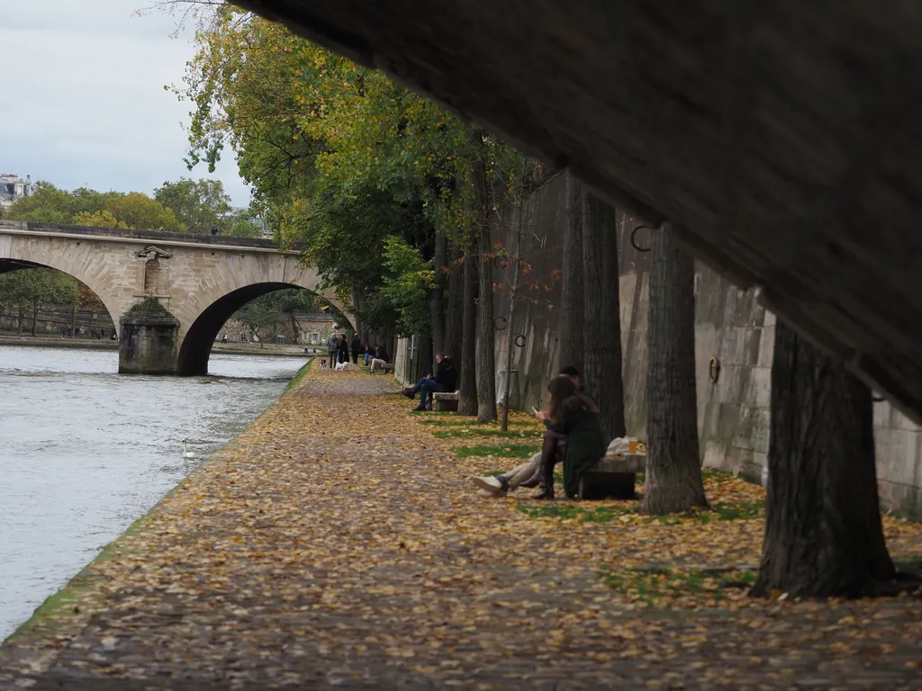 a leaf-covered path along a river