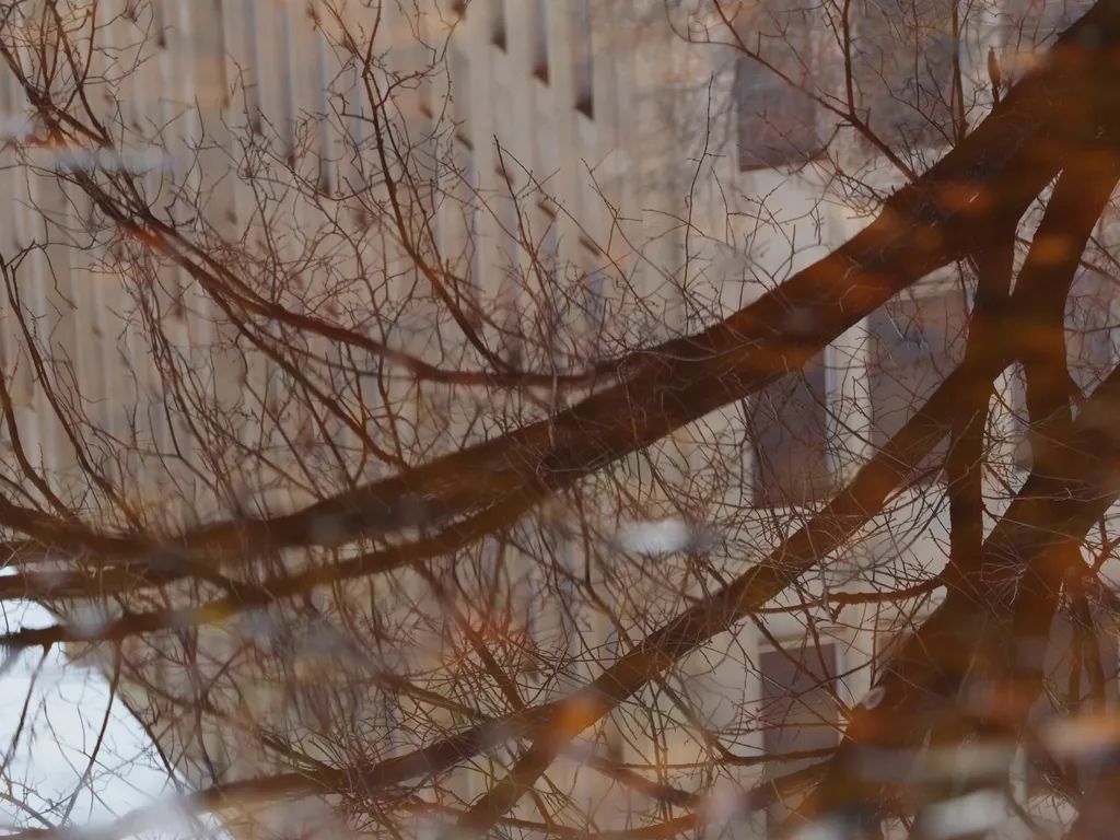 a building reflected in a puddle