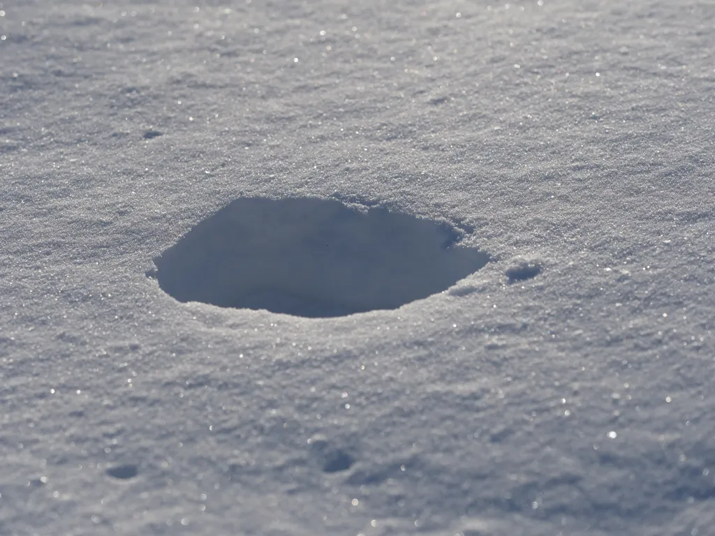 a hole in the snow