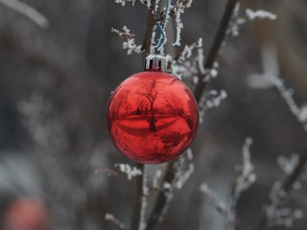 a selfie in an ornament hanging from a frosty brnach