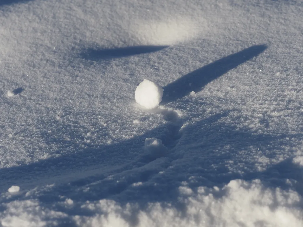 a snowball that has rolled down a snow pile