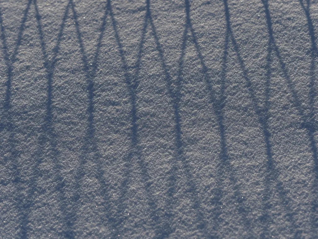 the shadow of a fence on the snow