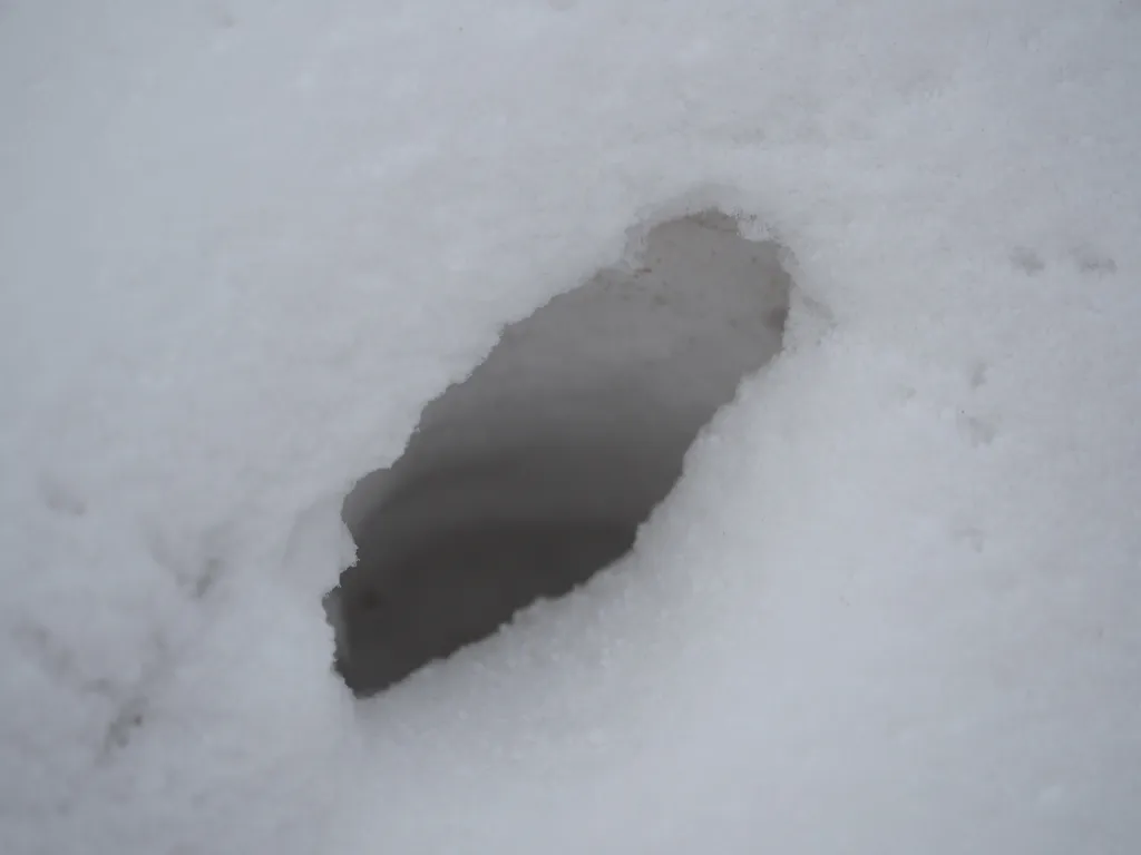 an oblong hole in the snow