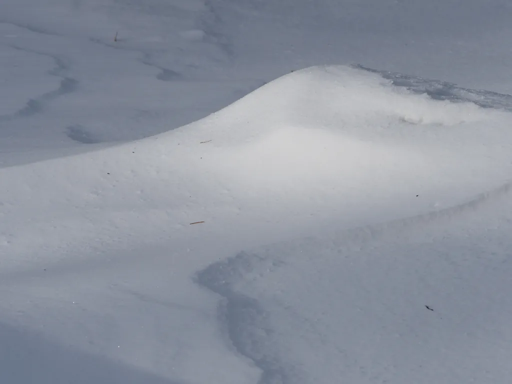 wind-blown patterns in the snow