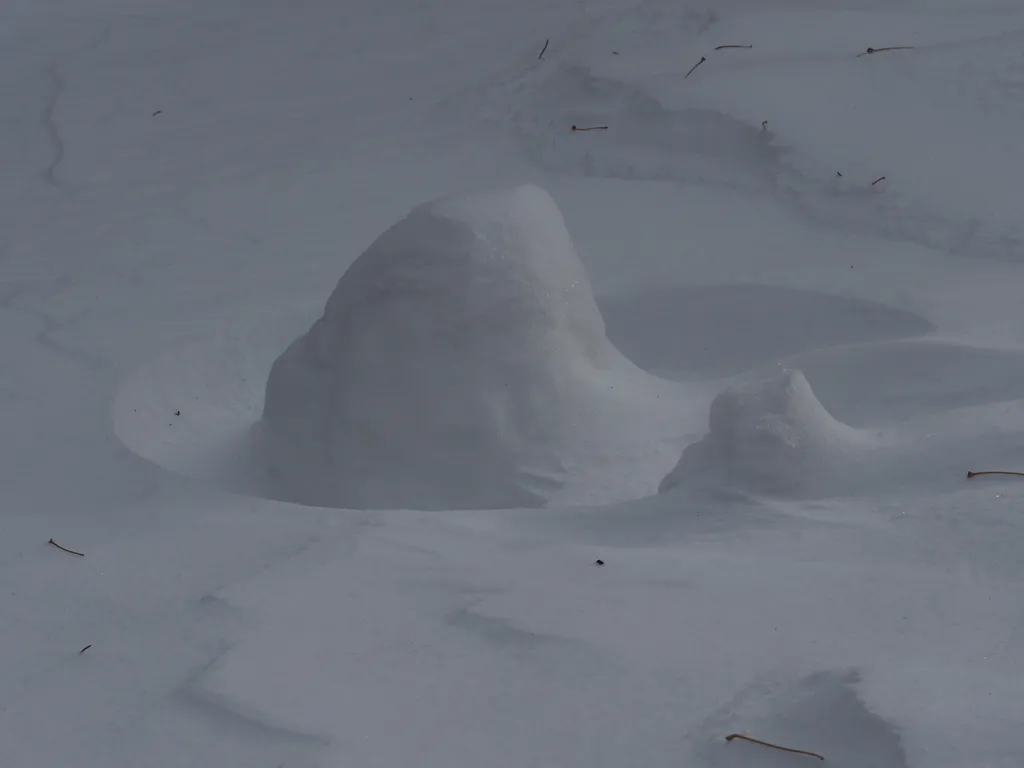 wind-blown patterns in the snow