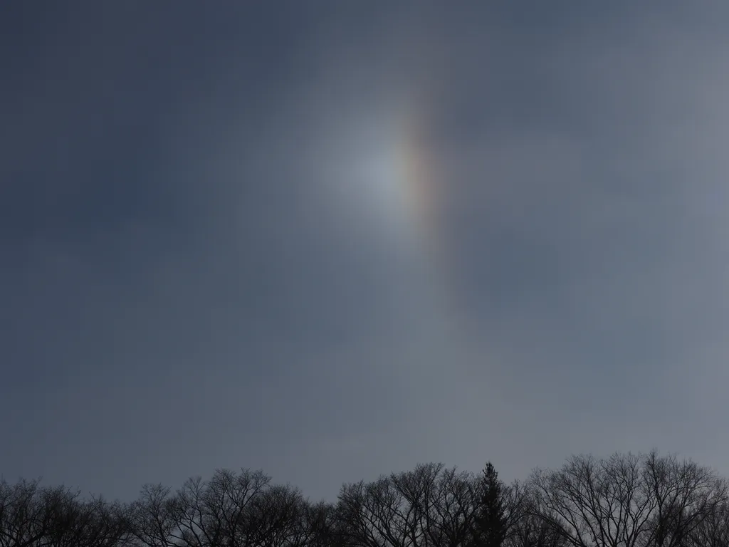 a sun dog above trees