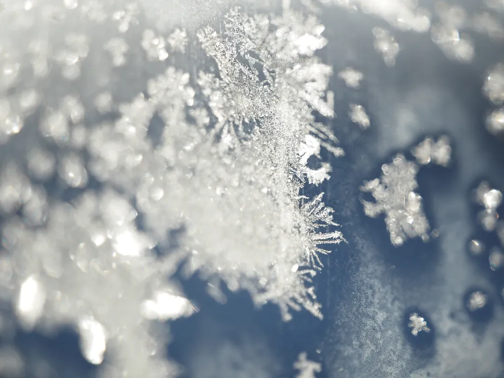 frost on a car window