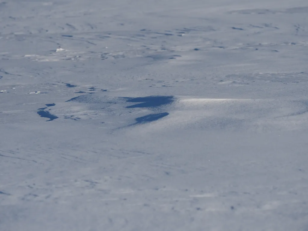 wind-blown patterns in the snow