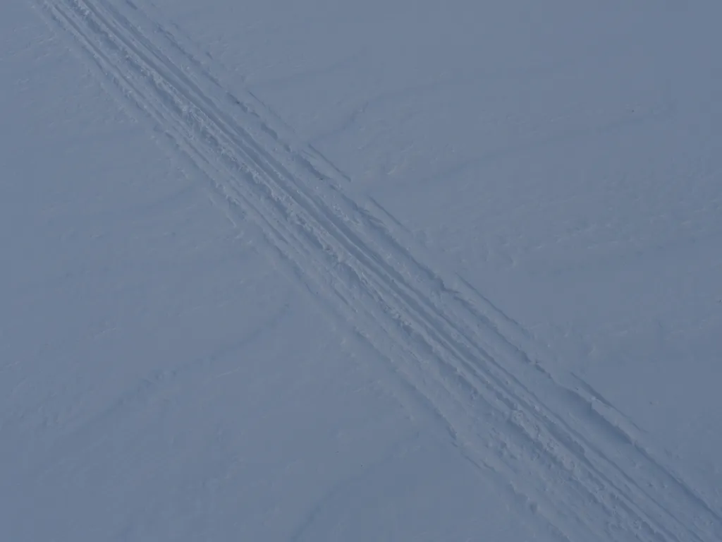 ski tracks in the snow