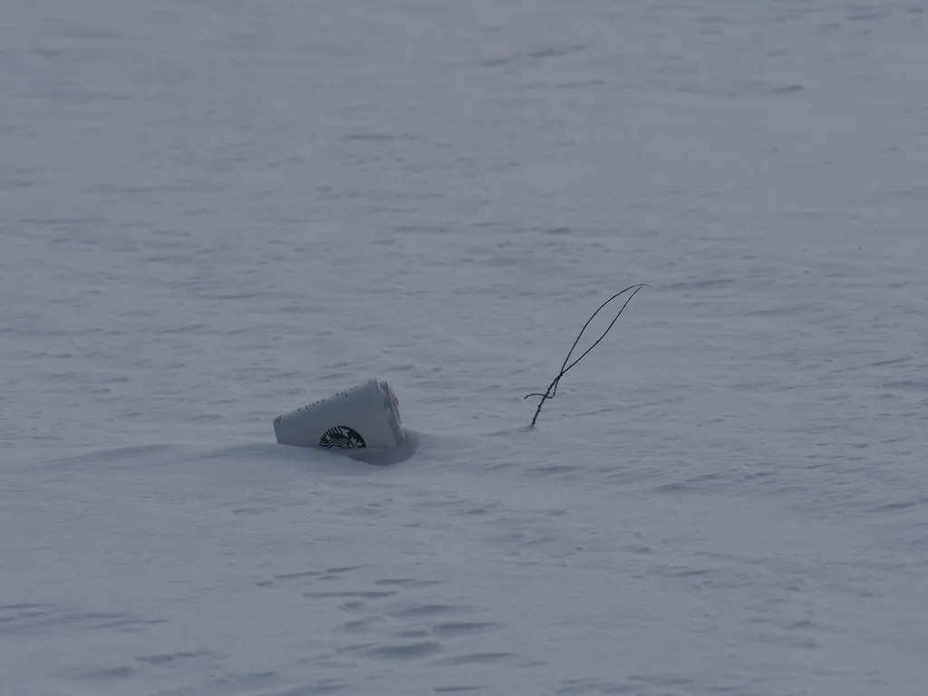 a coffee cup in the snow