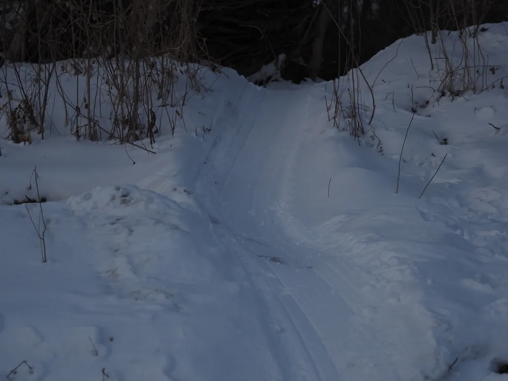 a sled trail down to a river