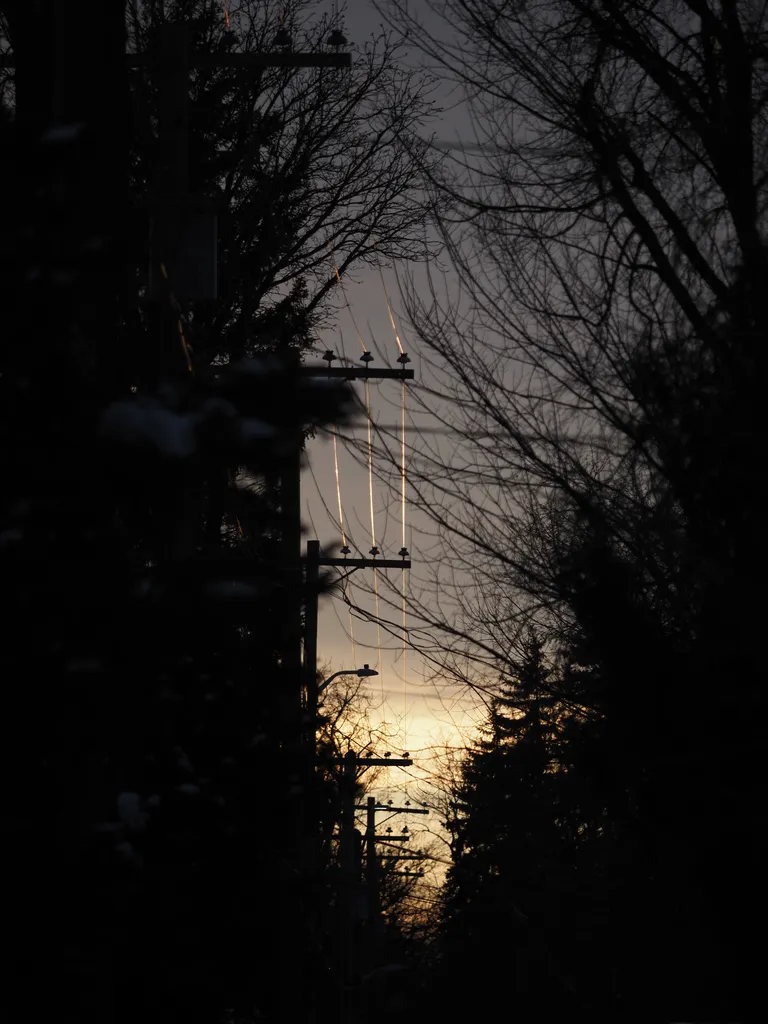 wires lit up by the setting sun