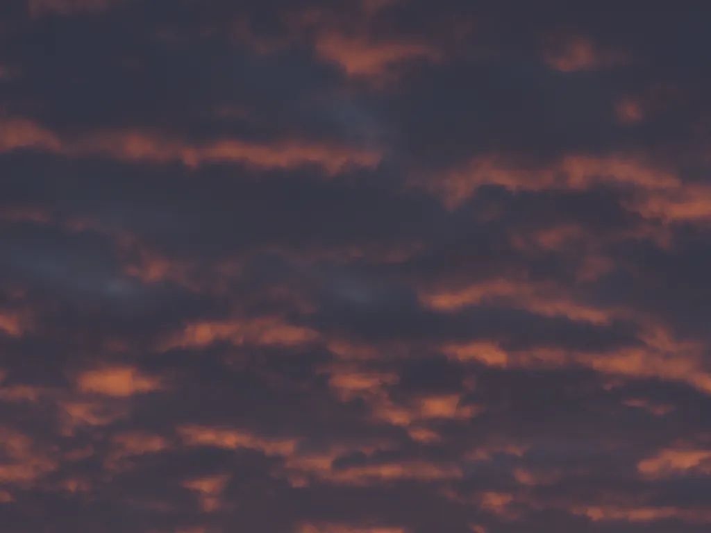 clouds lit up by the setting sun