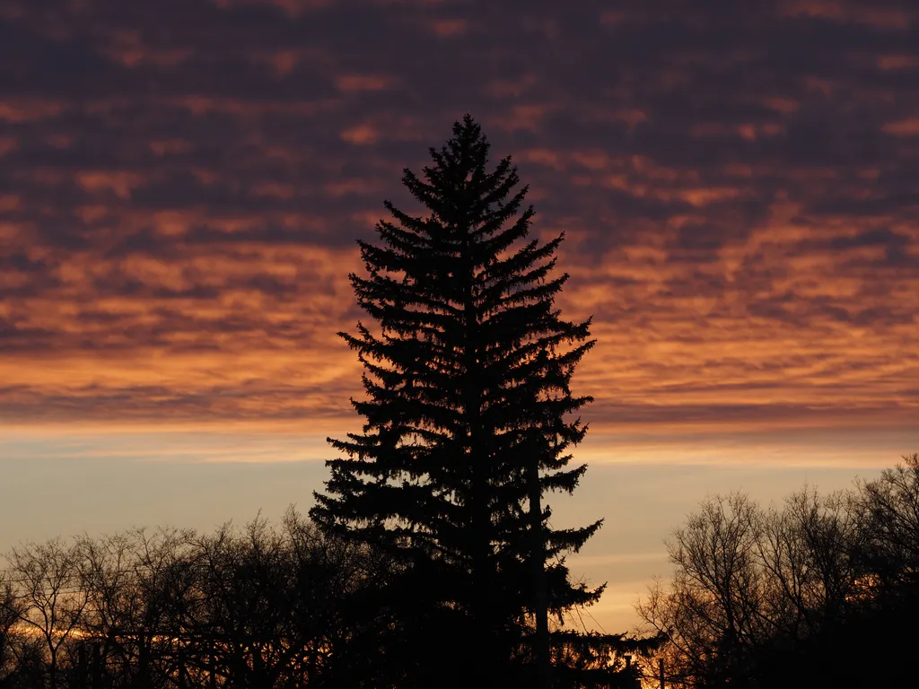 clouds lit up by the setting sun