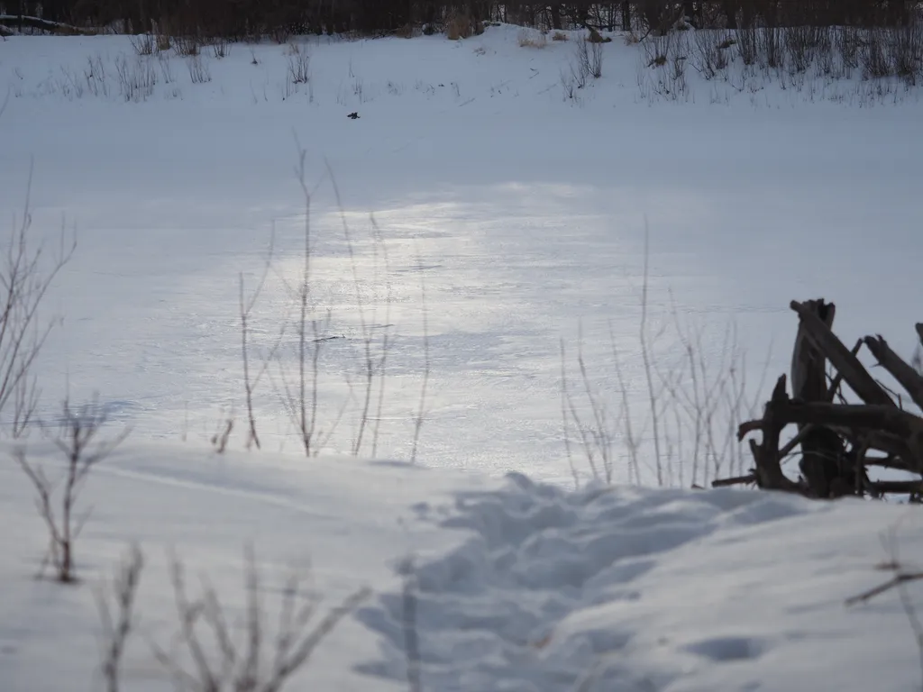 a path down to a frozen river