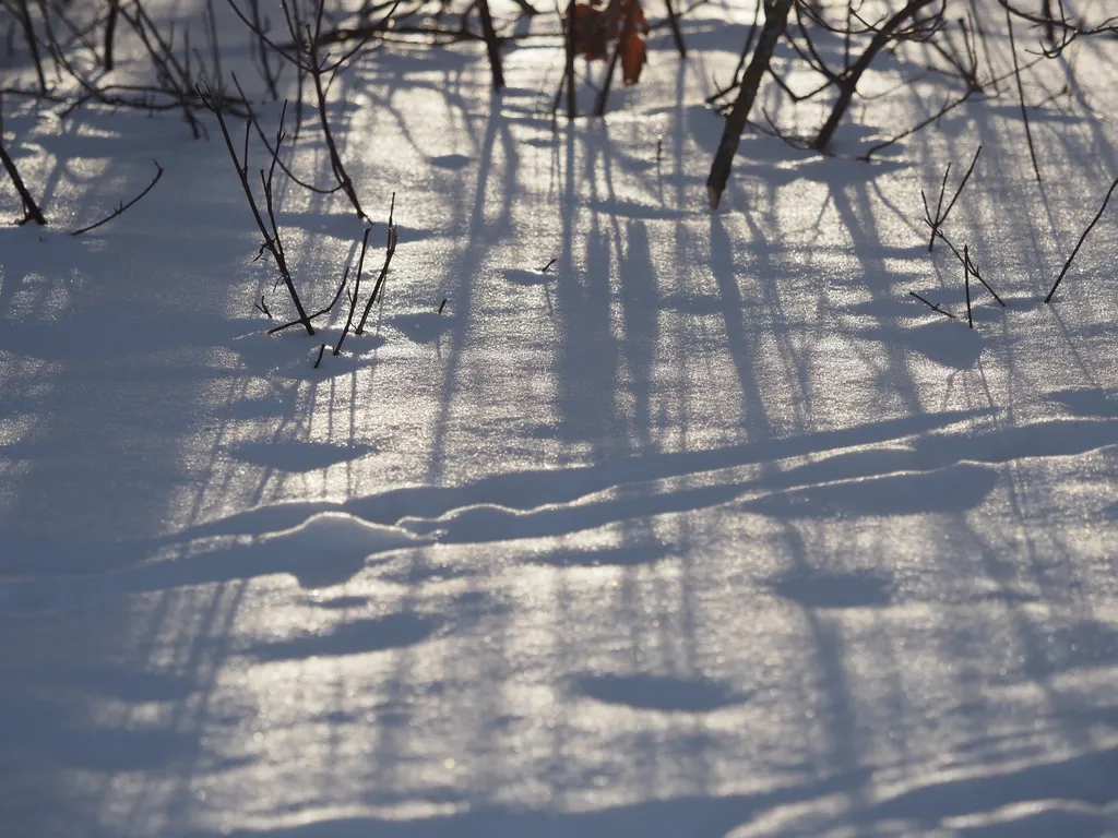 shadows on uneven snow