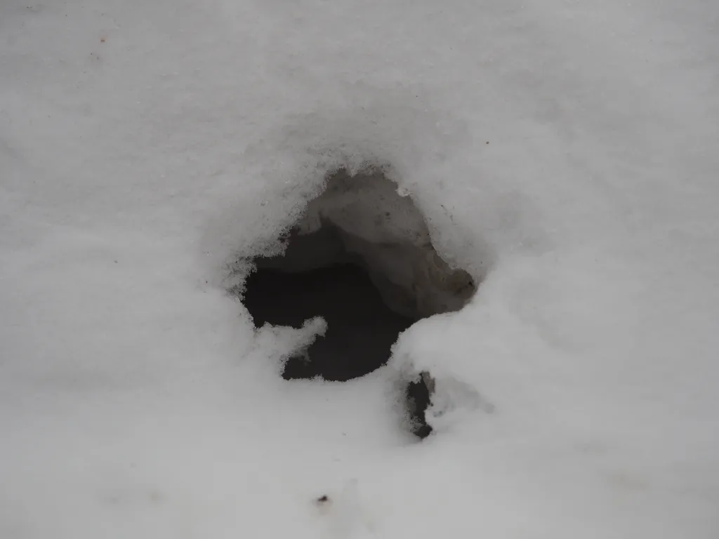 a hole in a snow drift