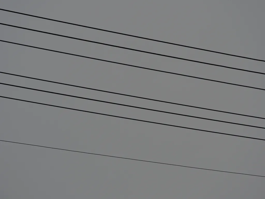 wires against a grey sky