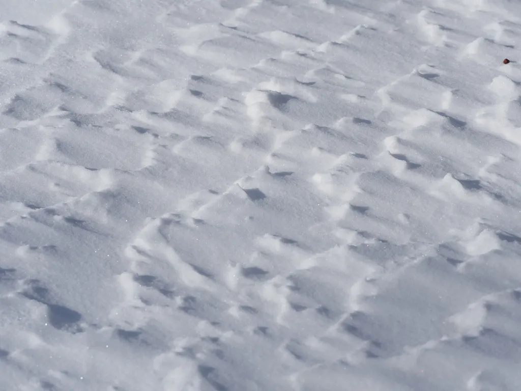 wind-swept snow