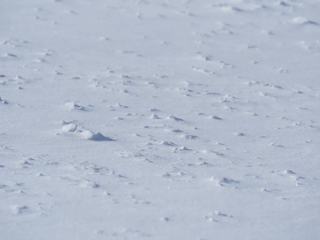 chunks of snow casting shadows