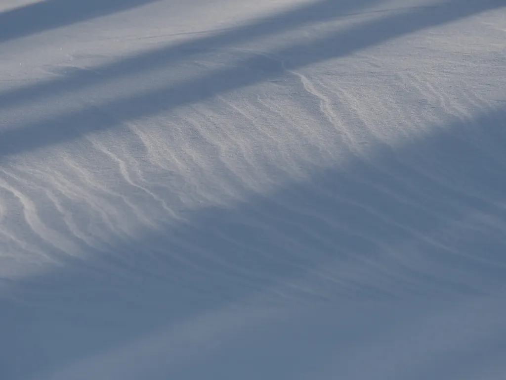 ripples in the snow