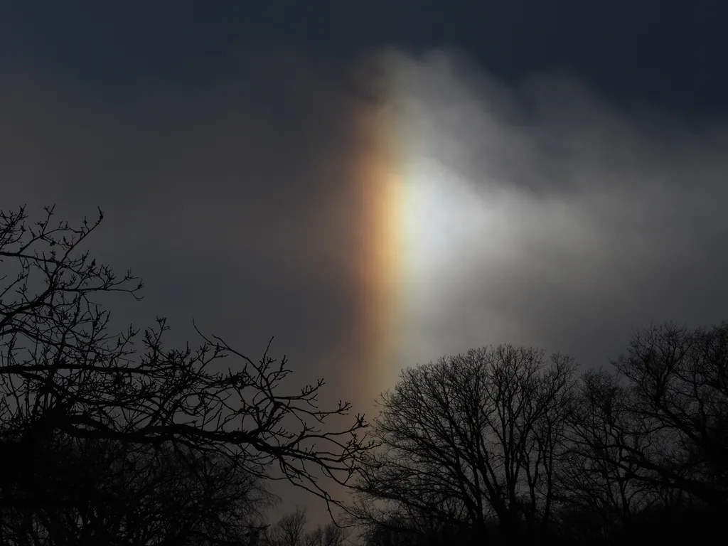 a sundog above trees