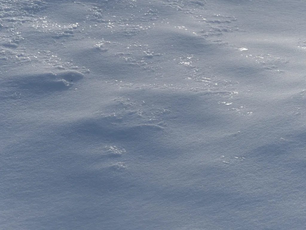 ice glimmering on a snowbank