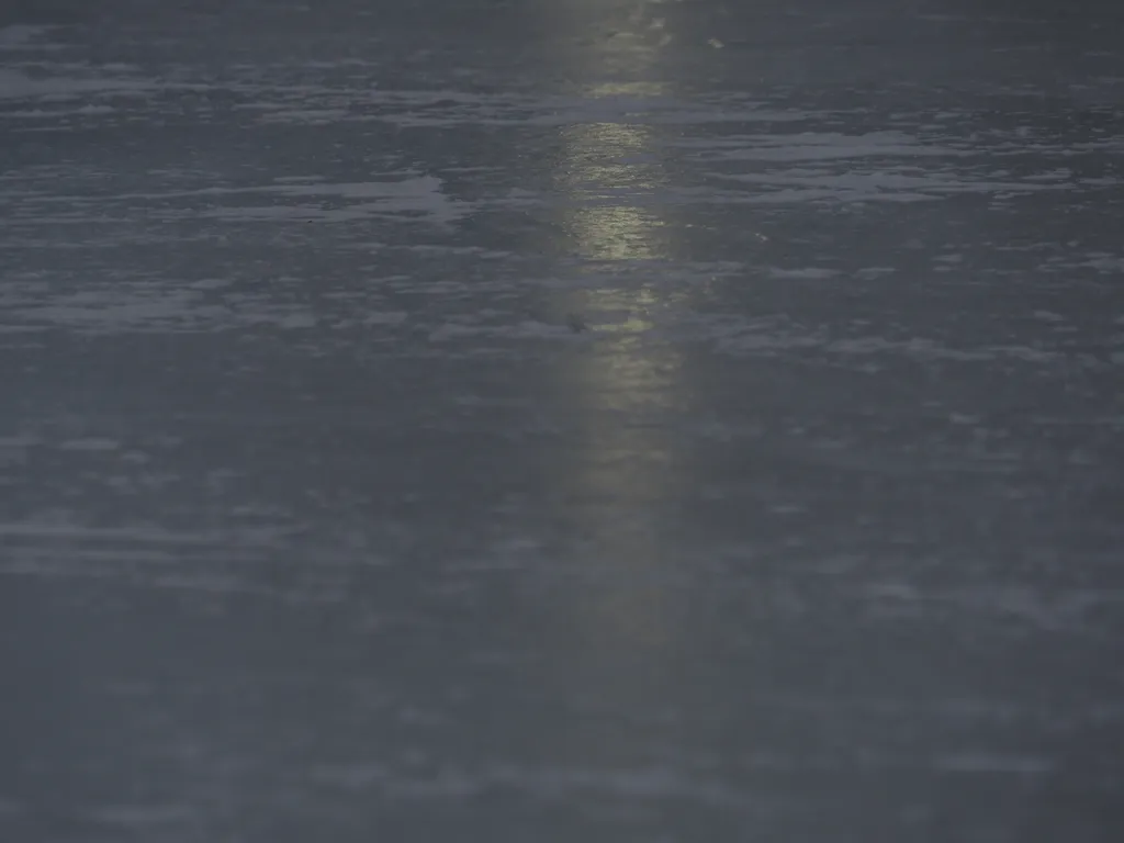 light reflecting on an outdoor rink