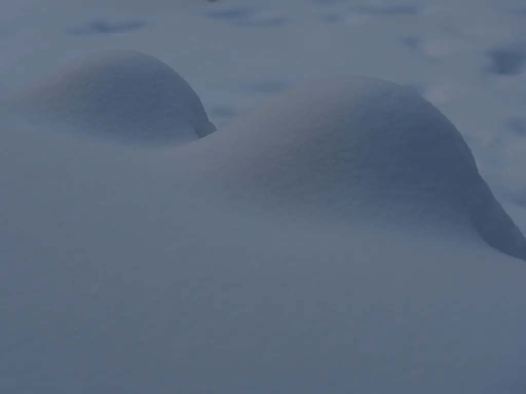 humps in snow revealing hidden planters on a table