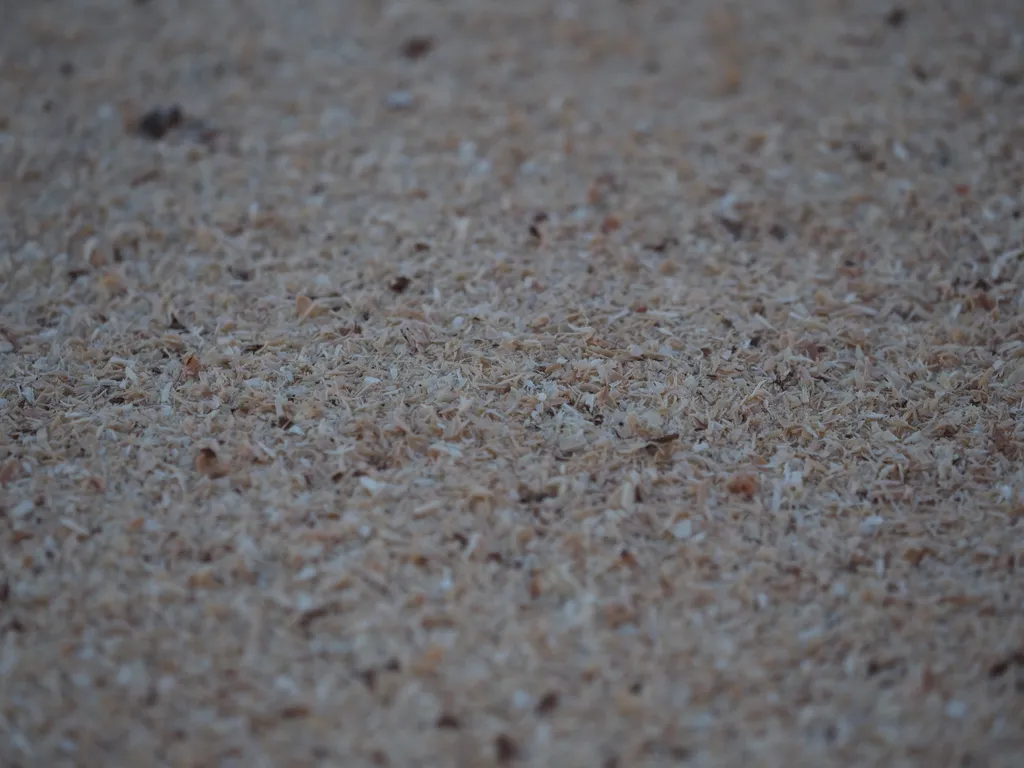 sawdust on top of snow