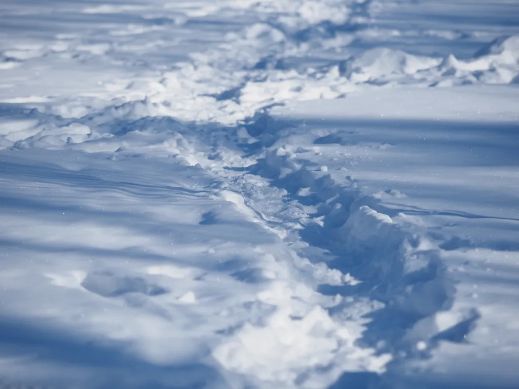 a path made through the snow