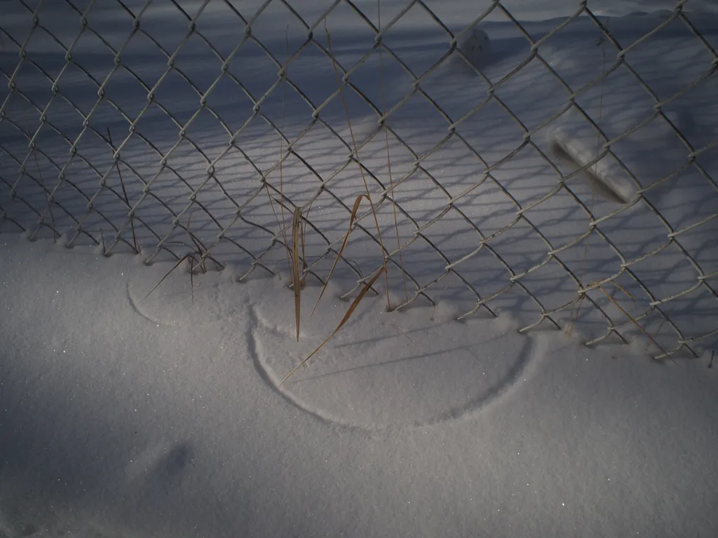 grass drawing lines in the snow