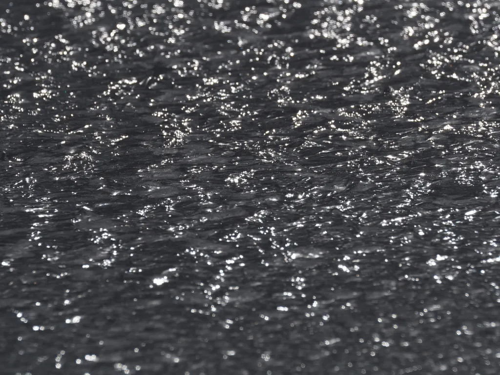 the surface of an outdoor rink