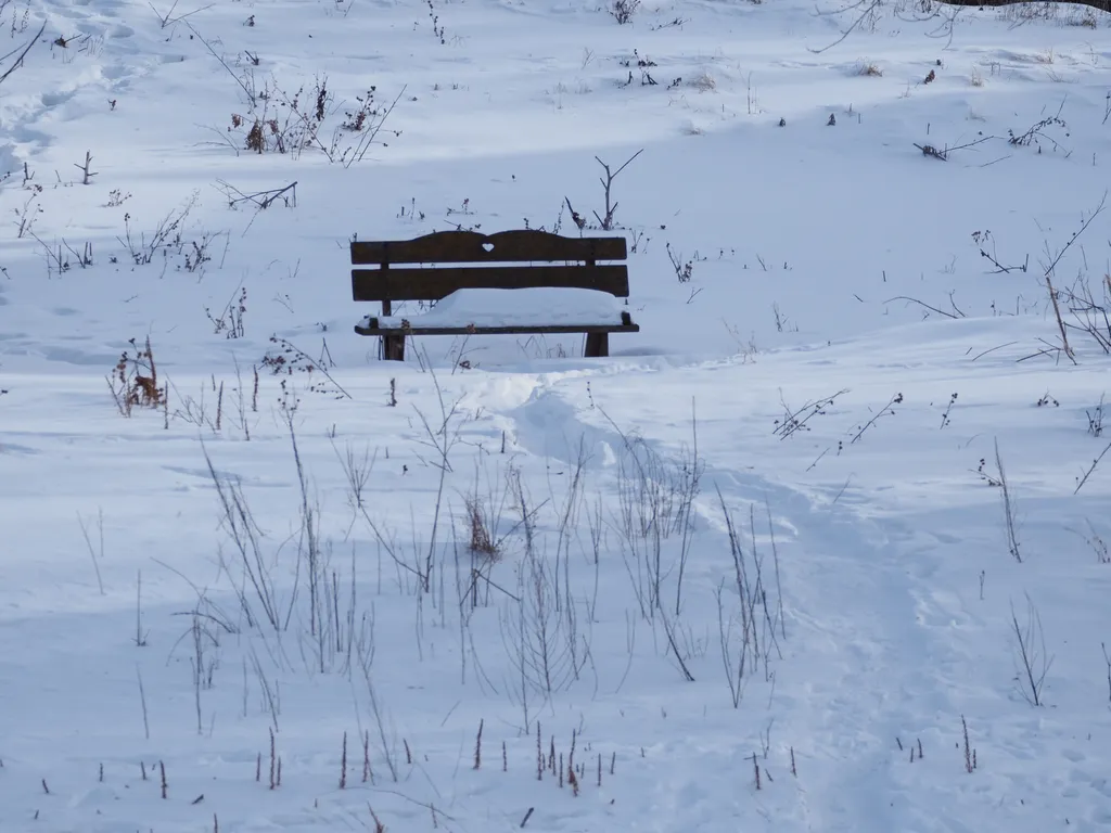 a snow-covered bench