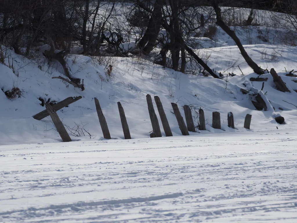 the remains of a dock along a river