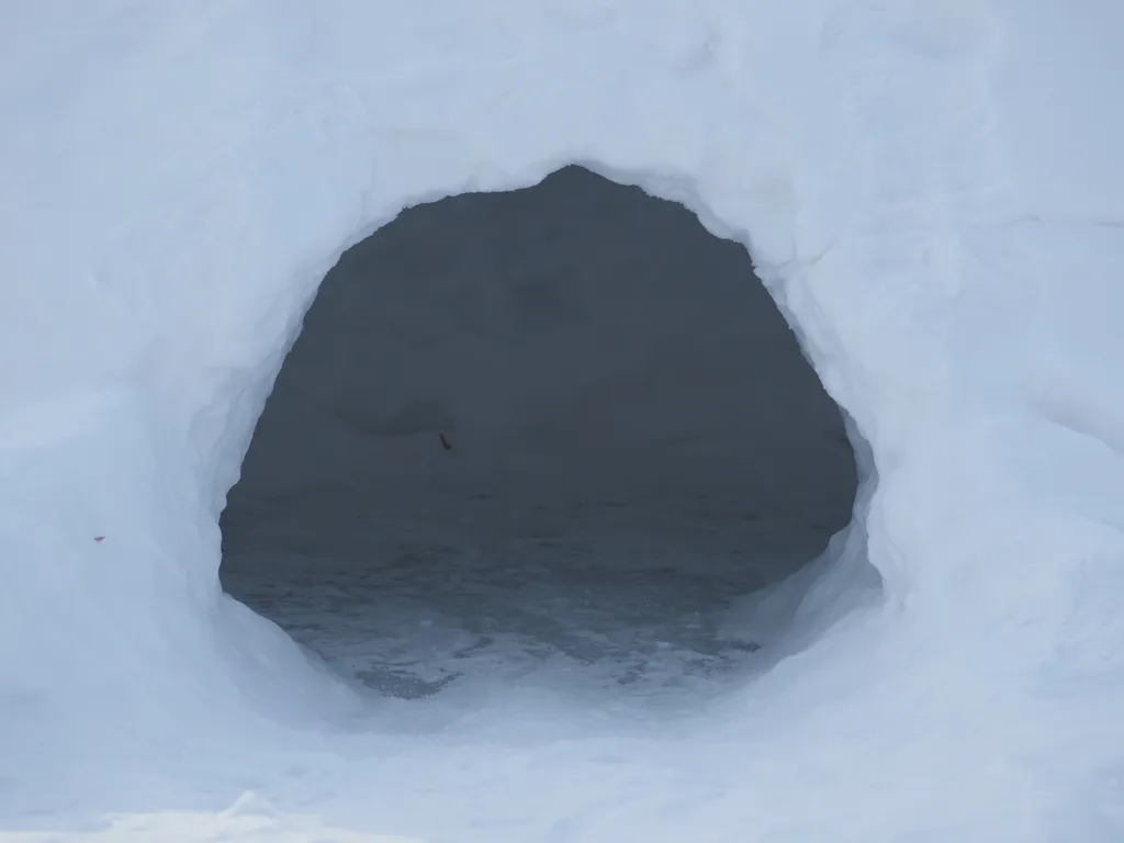 the inside of a snow hut