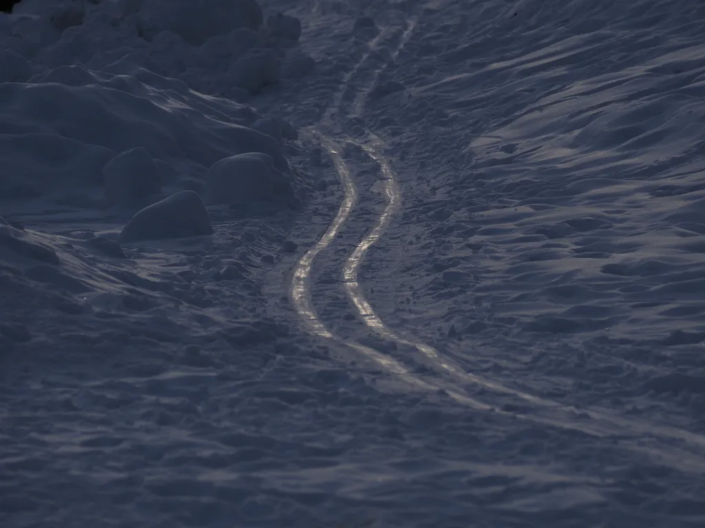 ski tracks on a frozen river