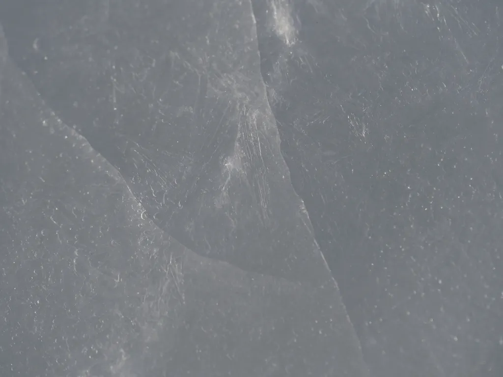 the surface of an outdoor rink