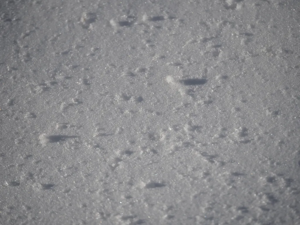 loose snow on snow