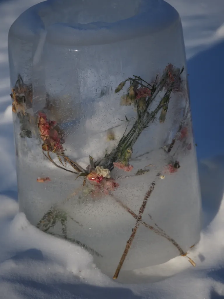 flowers frozen in ice