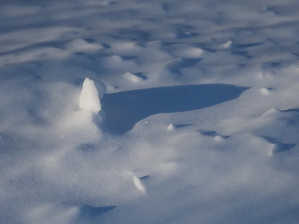 snow casting shadows