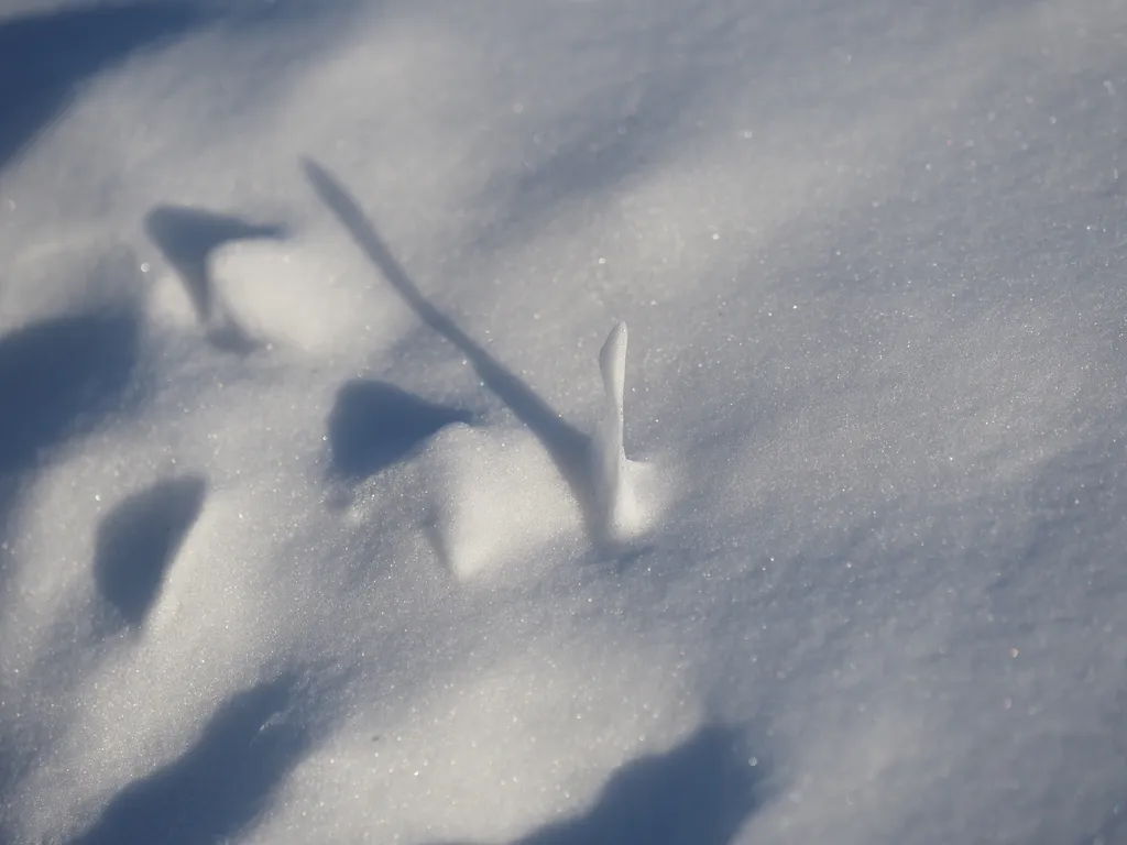 a thin chunk of snow casting a long shadow