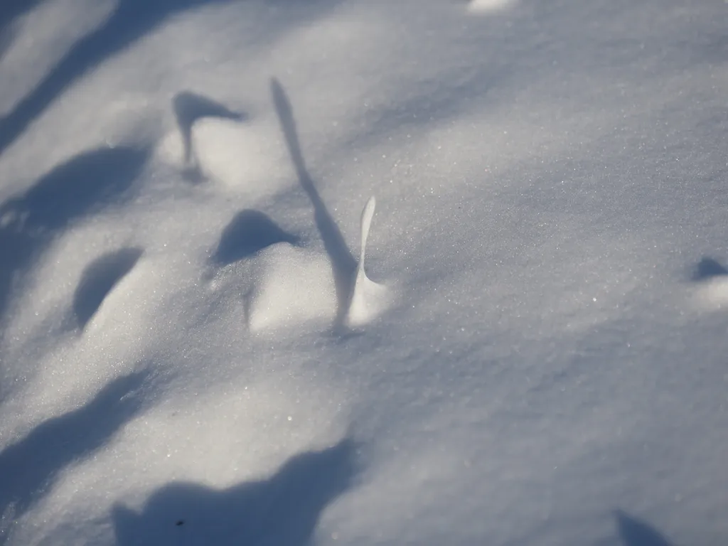 a thin chunk of snow casting a long shadow