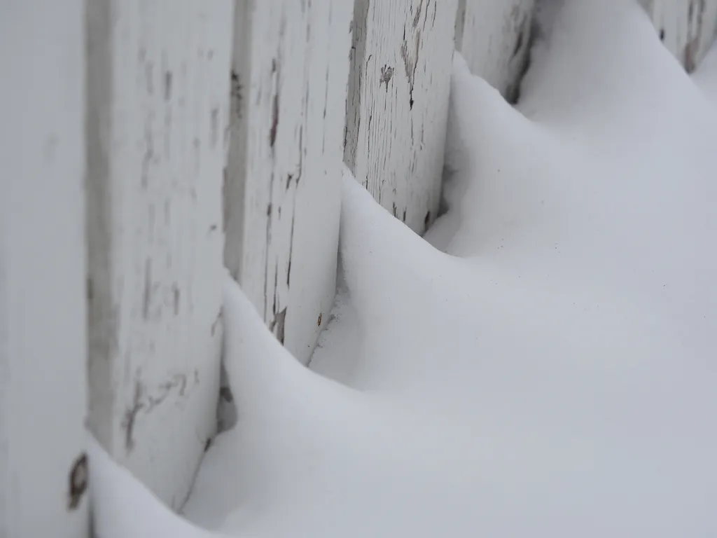 snow sifted through a fence