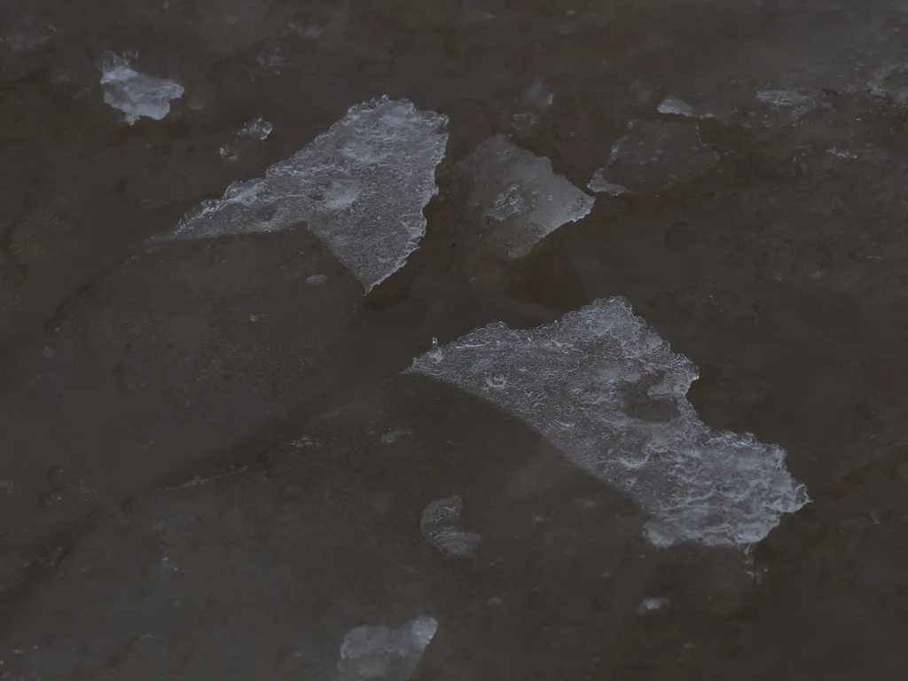 ice partially submerged in a puddle