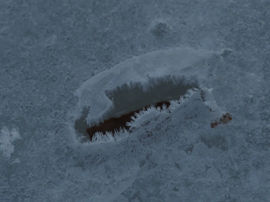 a frosty hole a leaf made in the ice