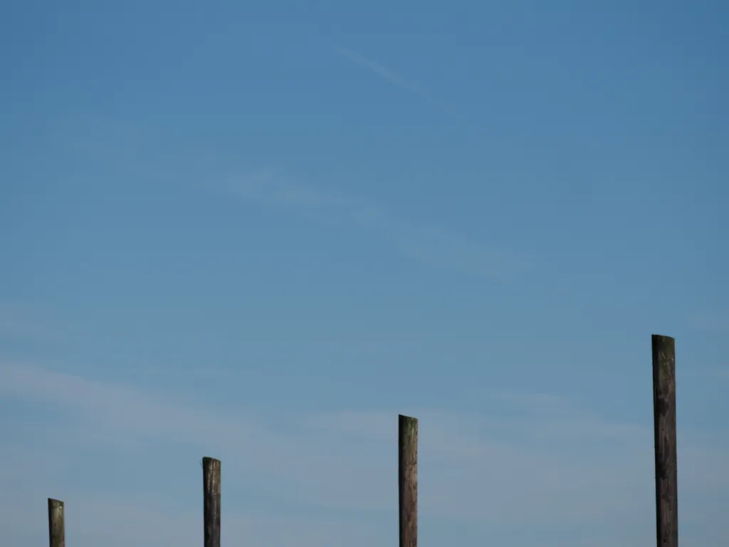 wooden poles