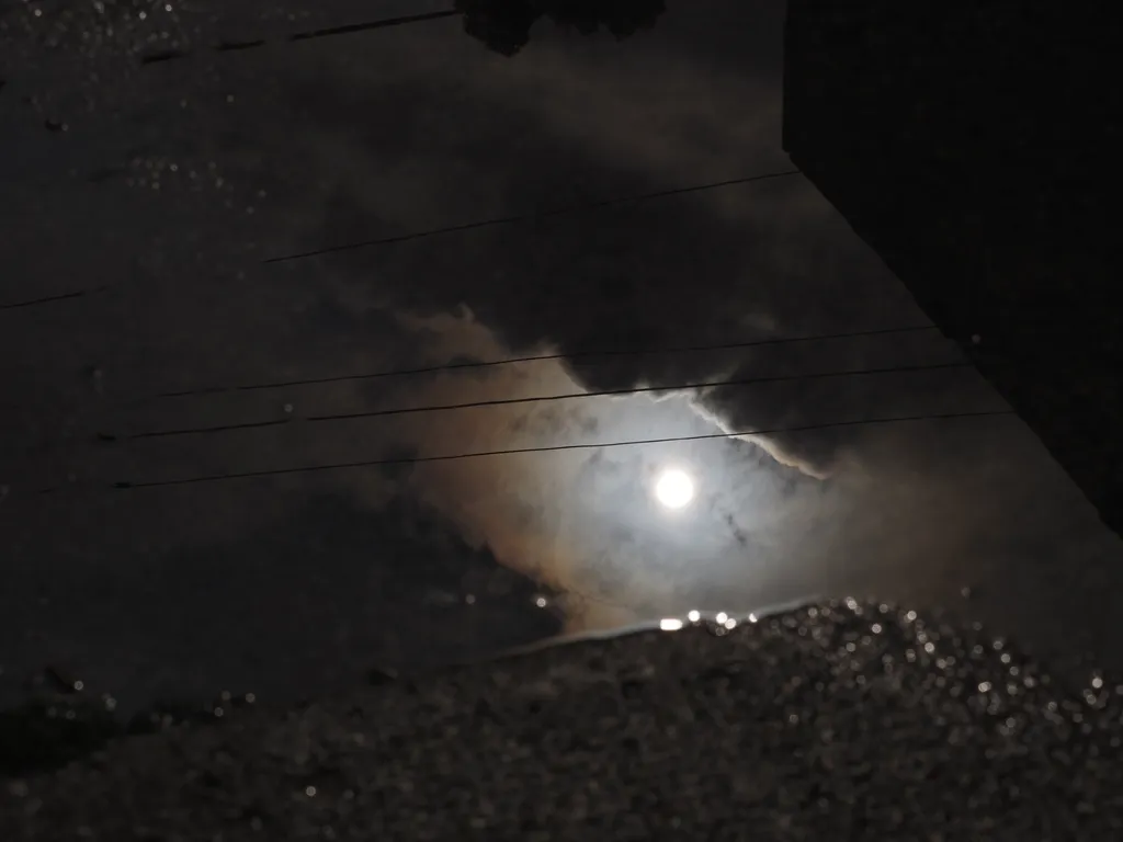 the sun reflected in a puddle